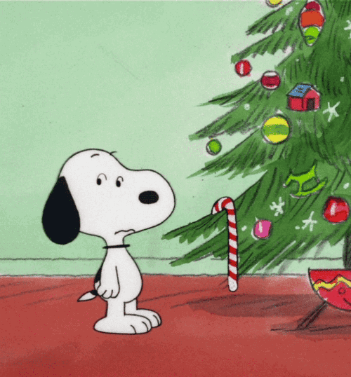 Charlie Brown: "It's Christmastime Again, Charlie Brown"